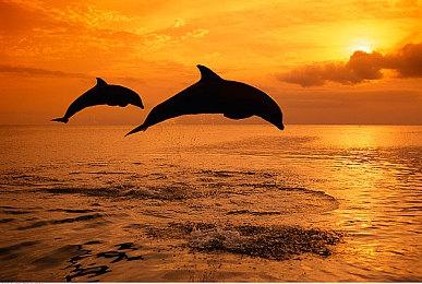 布置房间休闲游戏《Unpacking》今天全平台发售